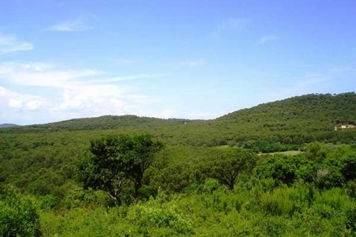 Lush landscape views