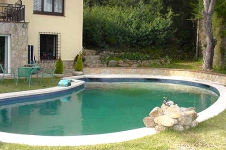 Lagoon-shaped swimming pool